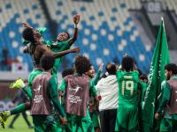 关于沙特阿拉伯队在国际比赛中夺冠的信息